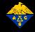 [ACS Logo]